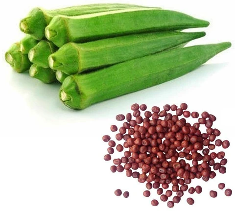 Okra Seeds