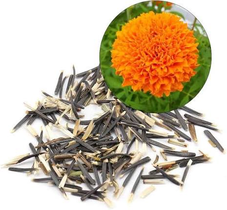 Marigold Flower Seeds