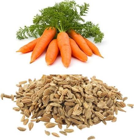 Carrot Seeds for Home Gardening