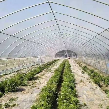 Greenhouse Polyhouse Structure